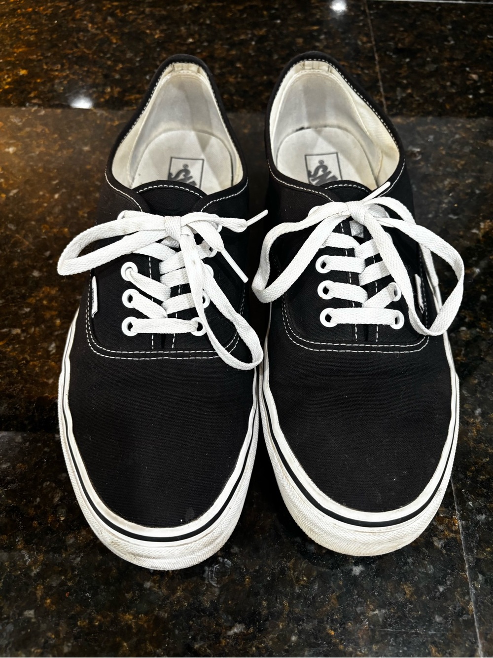 Vans Black Canvas Low-Top Sneakers with White Laces and Trim
